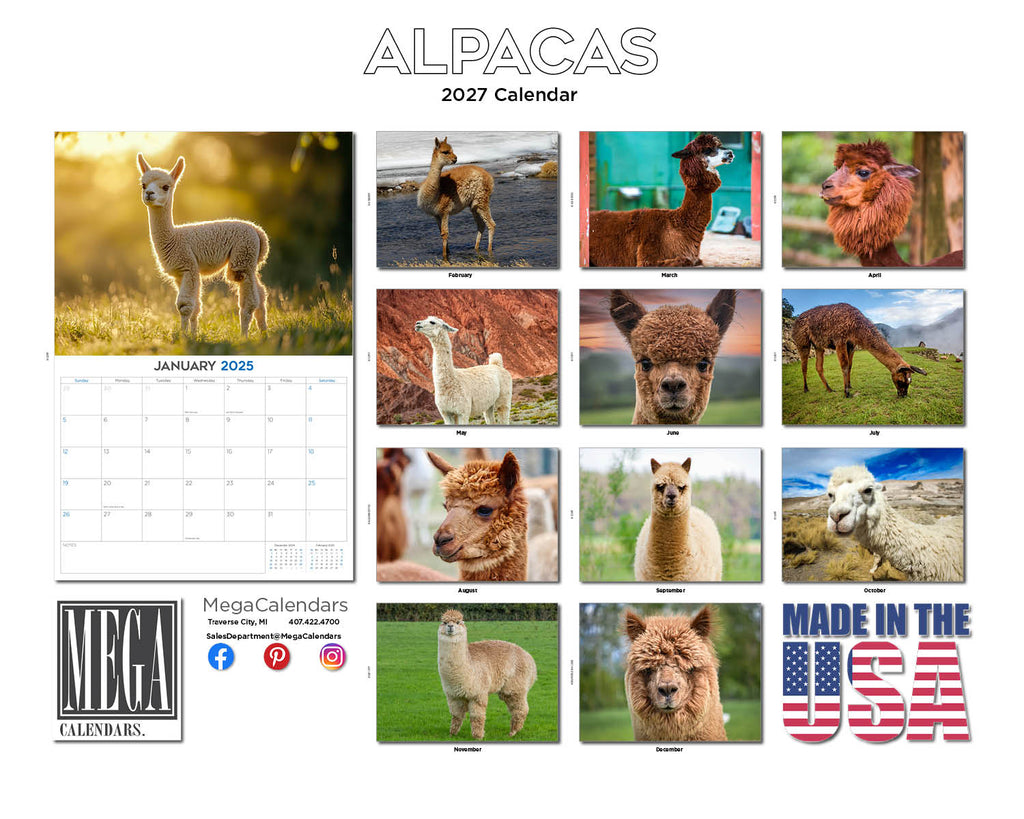 Alpacas Wall Calendar 2027 - 12" x 9" 14-Month Fluffy Animal Calendar