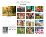 Alpacas Wall Calendar 2027 - 12" x 9" 14-Month Fluffy Animal Calendar