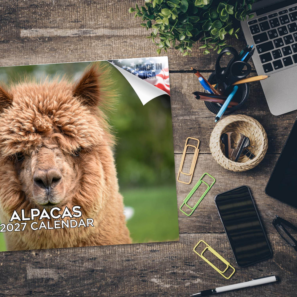 Alpacas Wall Calendar 2027 - 12" x 9" 14-Month Fluffy Animal Calendar