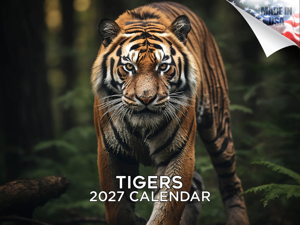Tigers Wall Calendar 2027 - 12" x 9" 14-Month Wildlife Nature Calendar