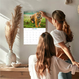 Tigers Wall Calendar 2027 - 12" x 9" 14-Month Wildlife Nature Calendar
