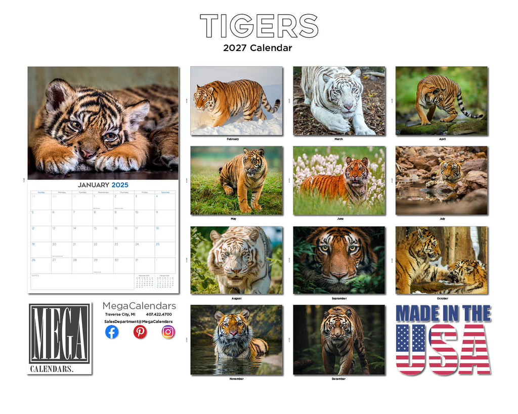 Tigers Wall Calendar 2027 - 12" x 9" 14-Month Wildlife Nature Calendar