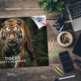 Tigers Wall Calendar 2027 - 12" x 9" 14-Month Wildlife Nature Calendar