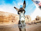 Donkeys Wall Calendar 2027 - 12" x 9" 14-Month Farm Animal Calendar