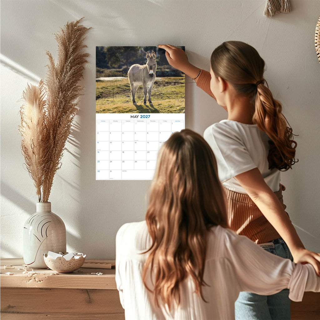 Donkeys Wall Calendar 2027 - 12" x 9" 14-Month Farm Animal Calendar