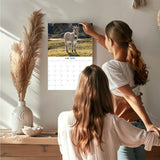 Donkeys Wall Calendar 2027 - 12" x 9" 14-Month Farm Animal Calendar