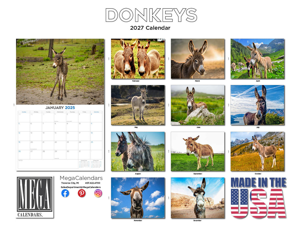 Donkeys Wall Calendar 2027 - 12" x 9" 14-Month Farm Animal Calendar