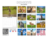 Donkeys Wall Calendar 2027 - 12" x 9" 14-Month Farm Animal Calendar