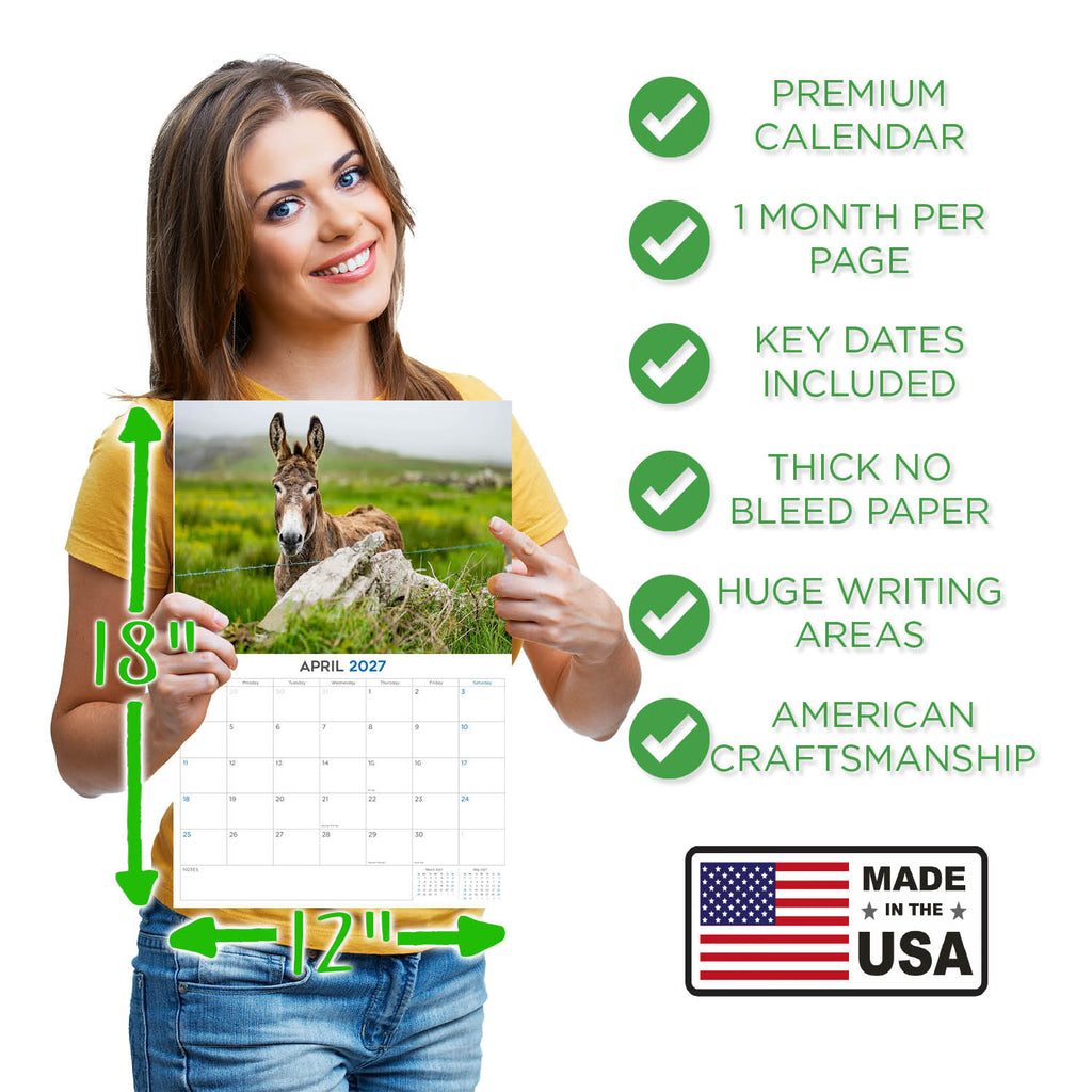 Donkeys Wall Calendar 2027 - 12" x 9" 14-Month Farm Animal Calendar