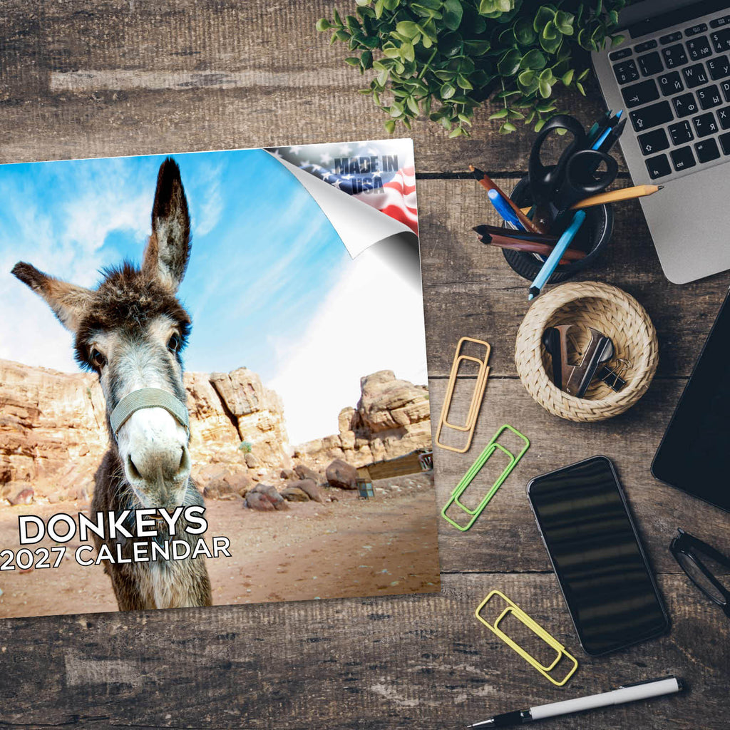 Donkeys Wall Calendar 2027 - 12" x 9" 14-Month Farm Animal Calendar