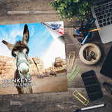 Donkeys Wall Calendar 2027 - 12" x 9" 14-Month Farm Animal Calendar