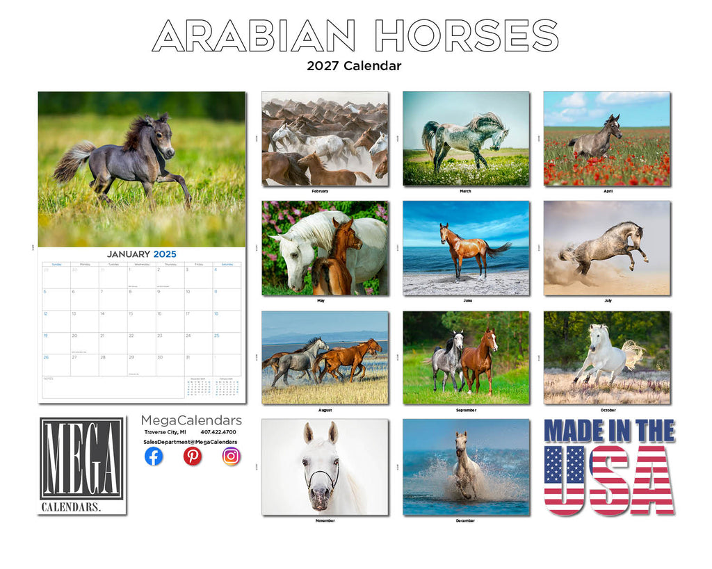 Arabian Horses Wall Calendar 2027 - 12" x 9" 14-Month Equine Calendar