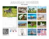 Arabian Horses Wall Calendar 2027 - 12" x 9" 14-Month Equine Calendar