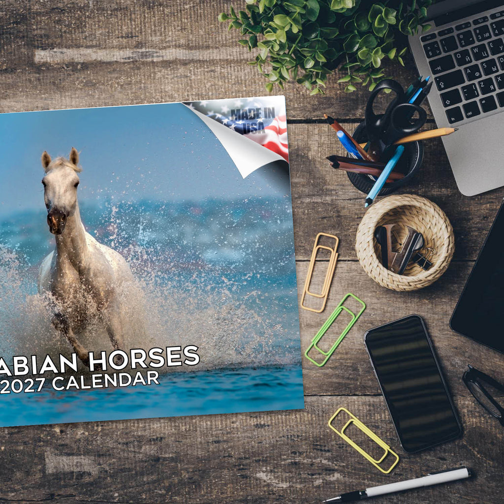 Arabian Horses Wall Calendar 2027 - 12" x 9" 14-Month Equine Calendar