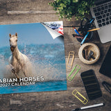 Arabian Horses Wall Calendar 2027 - 12" x 9" 14-Month Equine Calendar