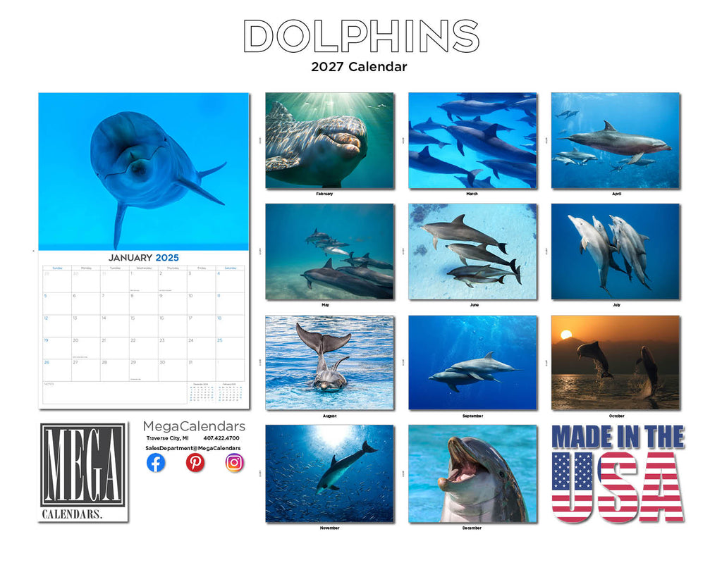 Dolphins Wall Calendar 2027 - 12" x 9" 14-Month Marine Animal Calendar