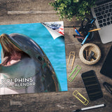 Dolphins Wall Calendar 2027 - 12" x 9" 14-Month Marine Animal Calendar