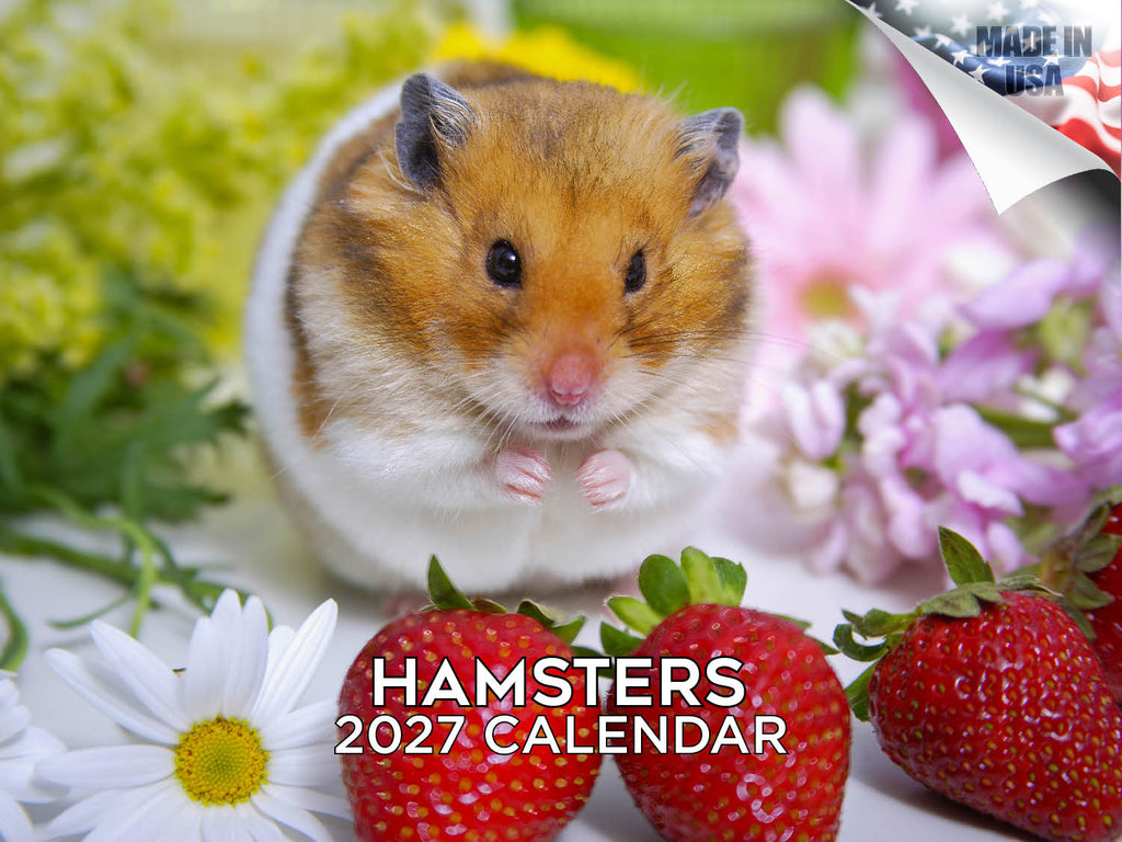 Hamsters Wall Calendar 2027 - 12" x 9" 14-Month Small Pet Calendar