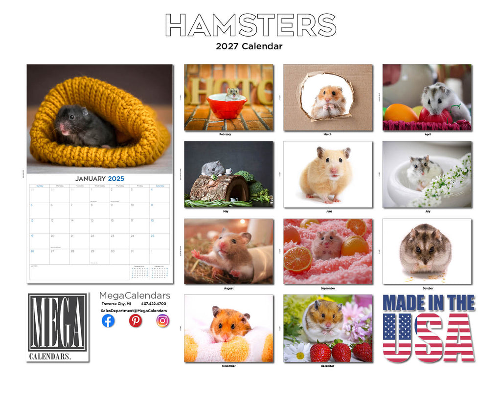 Hamsters Wall Calendar 2027 - 12" x 9" 14-Month Small Pet Calendar