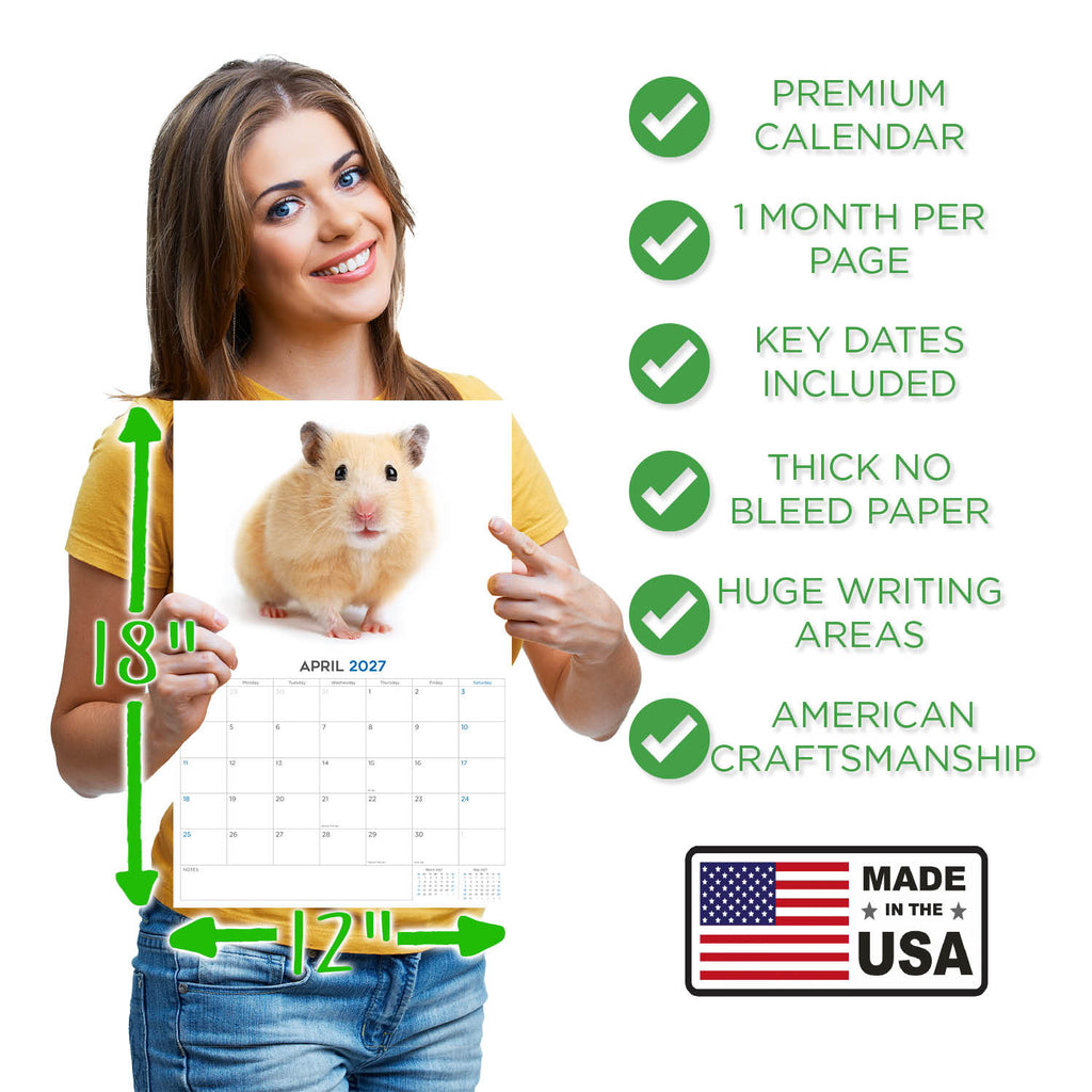 Hamsters Wall Calendar 2027 - 12" x 9" 14-Month Small Pet Calendar
