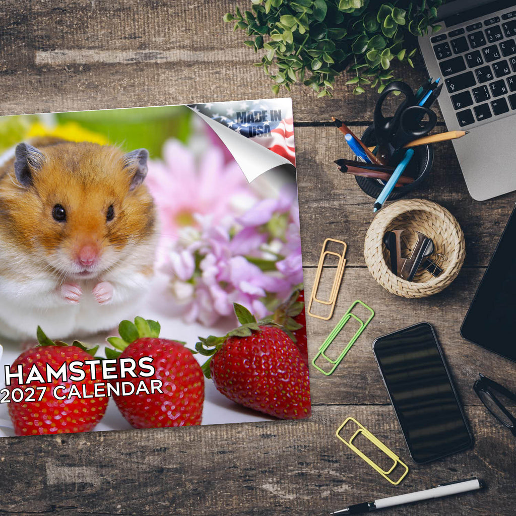 Hamsters Wall Calendar 2027 - 12" x 9" 14-Month Small Pet Calendar