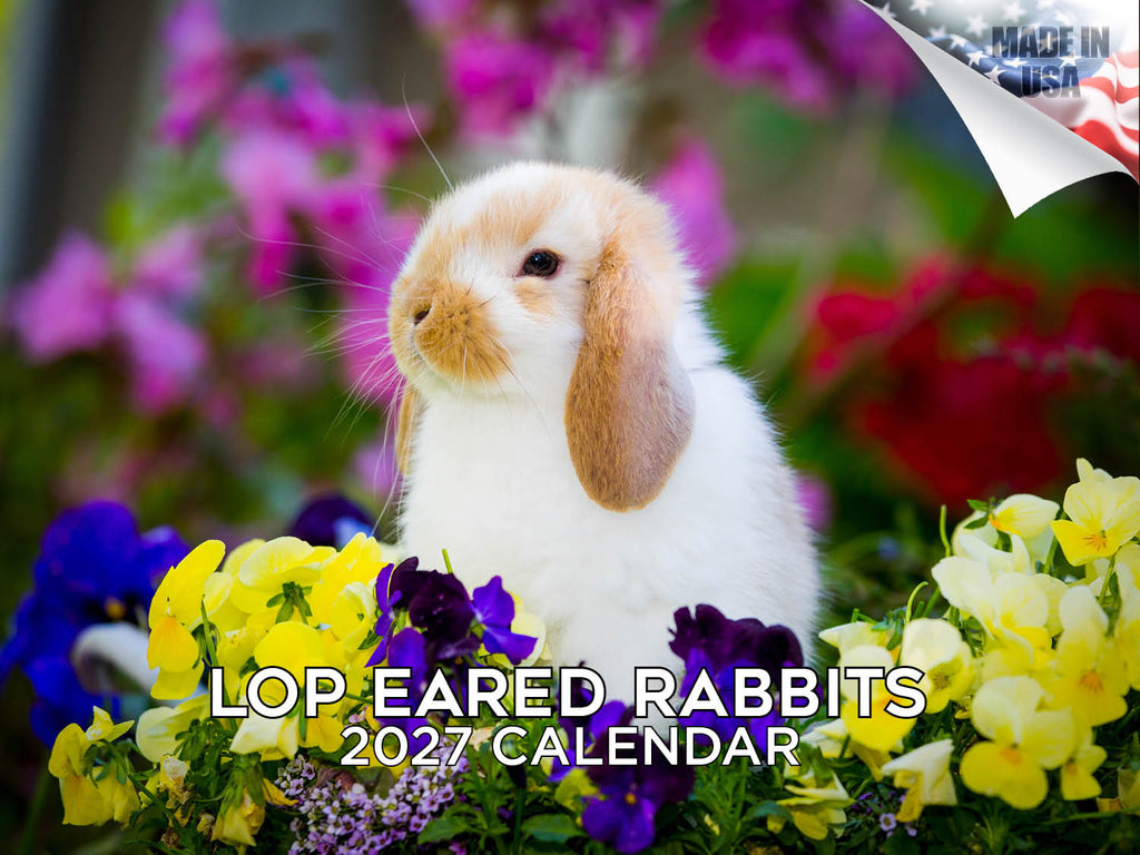 Lop-Eared Rabbits Wall Calendar 2027 - 12" x 9" 14-Month Small Pet Calendar