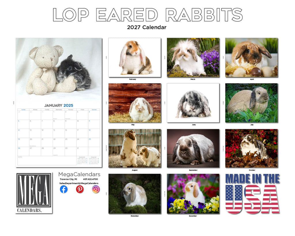 Lop-Eared Rabbits Wall Calendar 2027 - 12" x 9" 14-Month Small Pet Calendar