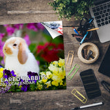 Lop-Eared Rabbits Wall Calendar 2027 - 12" x 9" 14-Month Small Pet Calendar