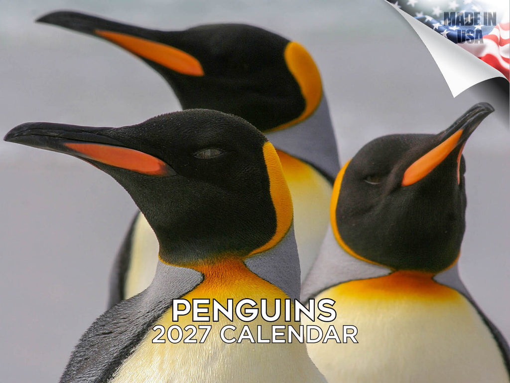 Penguins Wall Calendar 2027 - 12" x 9" 14-Month Flightless Bird Calendar