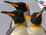 Penguins Wall Calendar 2027 - 12" x 9" 14-Month Flightless Bird Calendar