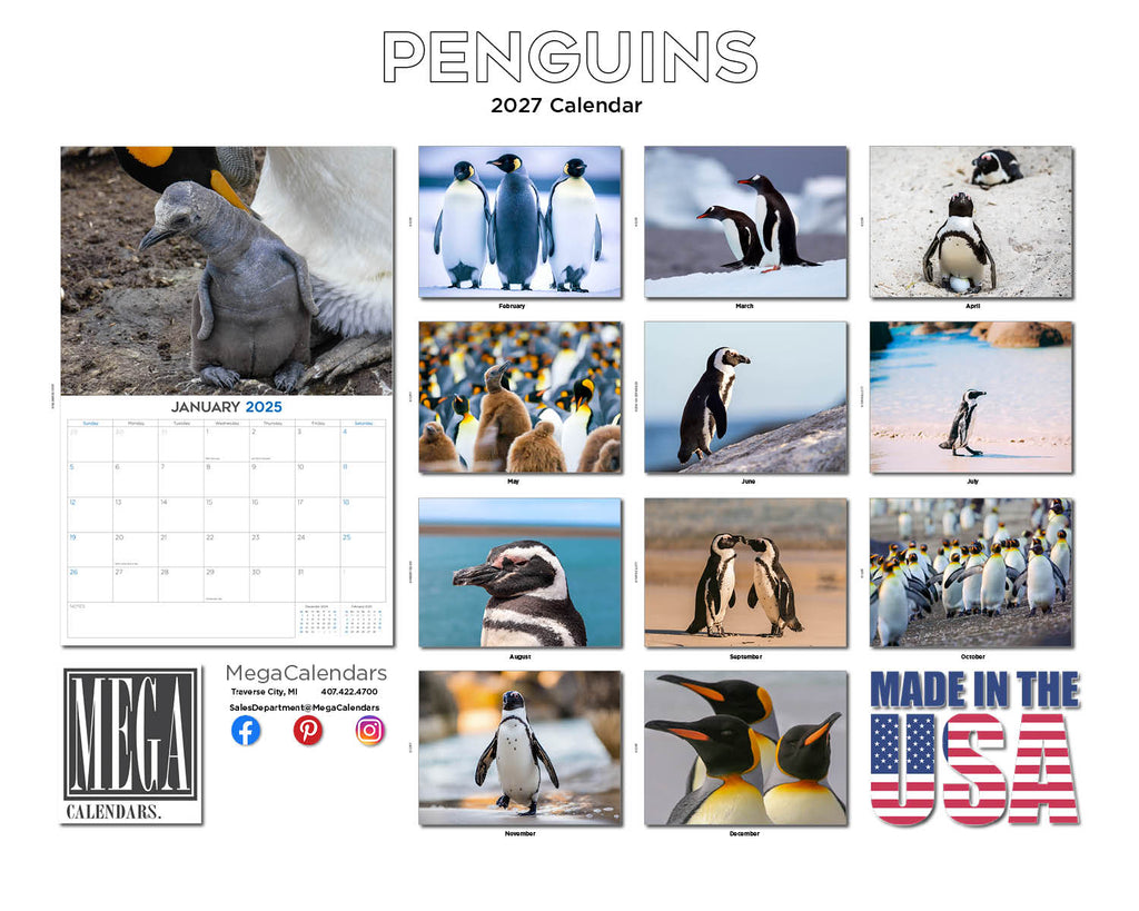 Penguins Wall Calendar 2027 - 12" x 9" 14-Month Flightless Bird Calendar