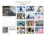 Penguins Wall Calendar 2027 - 12" x 9" 14-Month Flightless Bird Calendar