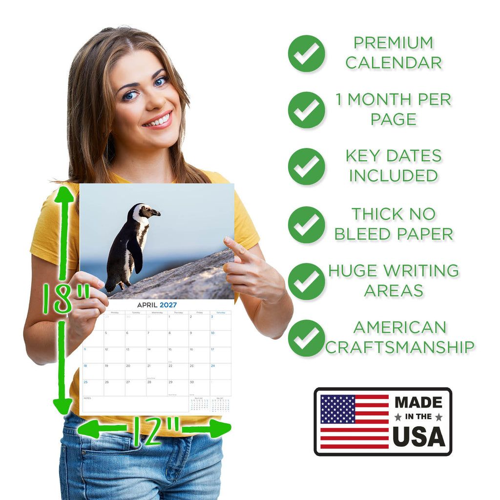 Penguins Wall Calendar 2027 - 12" x 9" 14-Month Flightless Bird Calendar