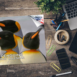 Penguins Wall Calendar 2027 - 12" x 9" 14-Month Flightless Bird Calendar