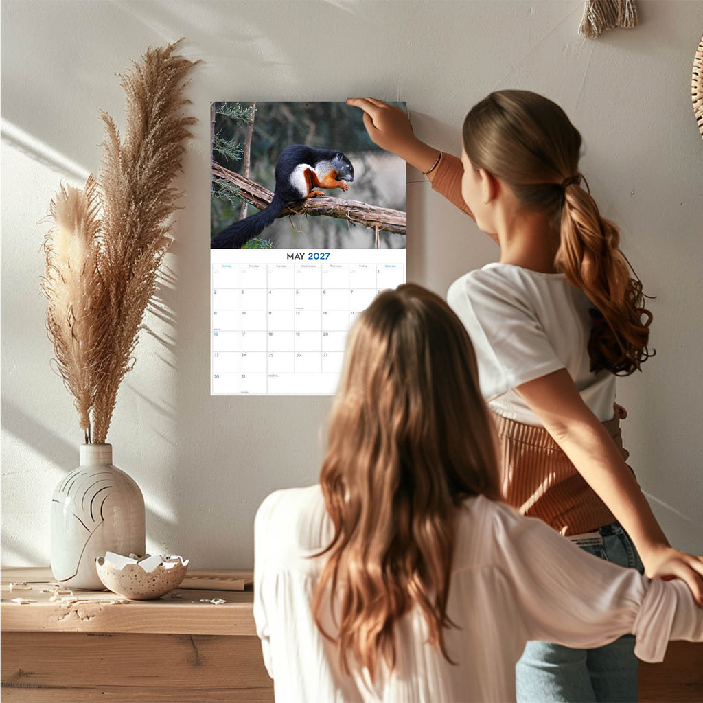 Squirrels Wall Calendar 2027 - 12" x 9" 14-Month Backyard Wildlife Calendar