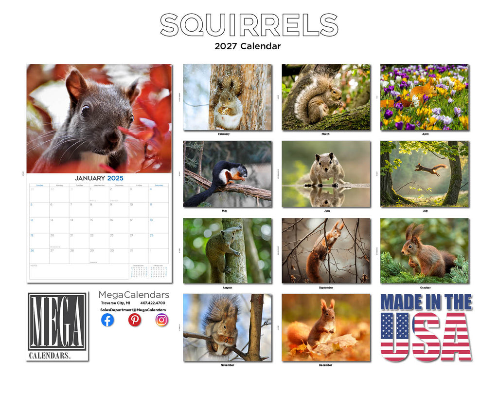 Squirrels Wall Calendar 2027 - 12" x 9" 14-Month Backyard Wildlife Calendar