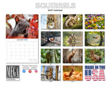 Squirrels Wall Calendar 2027 - 12" x 9" 14-Month Backyard Wildlife Calendar