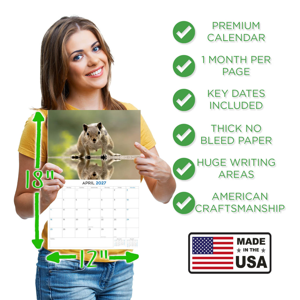 Squirrels Wall Calendar 2027 - 12" x 9" 14-Month Backyard Wildlife Calendar
