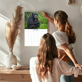 Apes Wall Calendar 2027 - 12" x 9" 14-Month Great Apes Wildlife Calendar