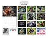 Apes Wall Calendar 2027 - 12" x 9" 14-Month Great Apes Wildlife Calendar