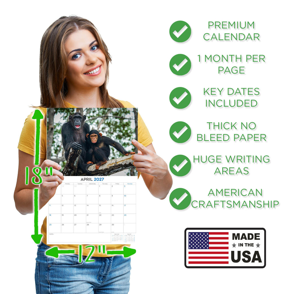 Apes Wall Calendar 2027 - 12" x 9" 14-Month Great Apes Wildlife Calendar