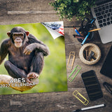 Apes Wall Calendar 2027 - 12" x 9" 14-Month Great Apes Wildlife Calendar