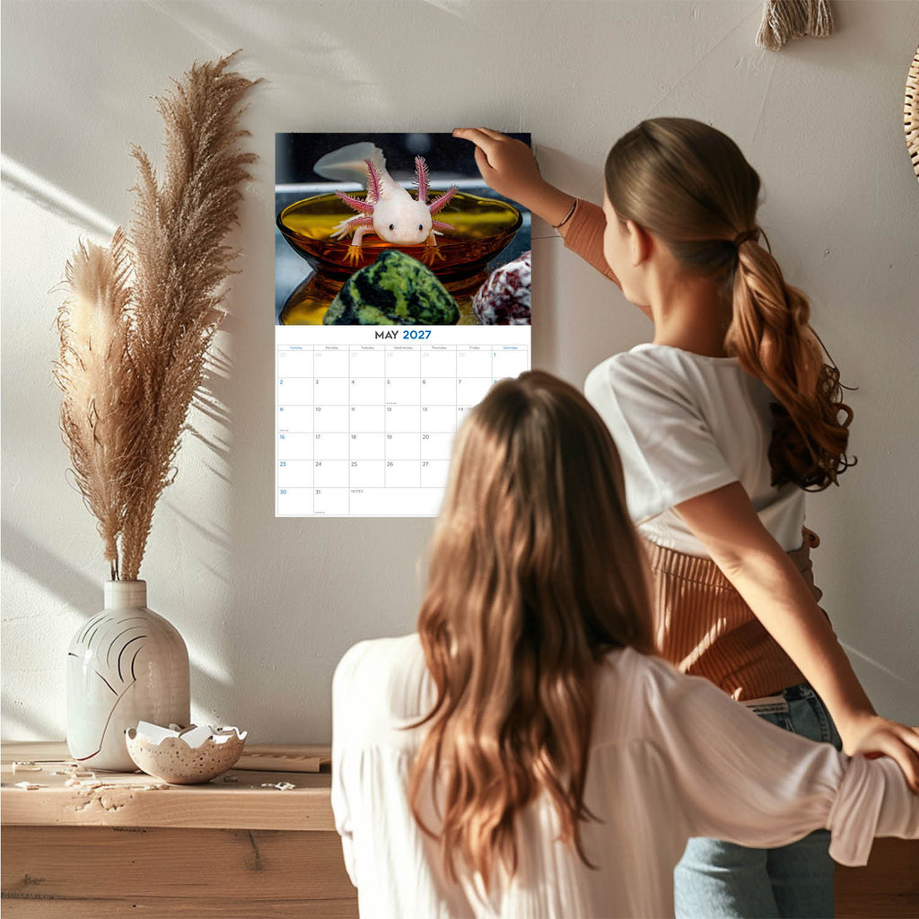 Axolotls Wall Calendar 2027 - 12" x 9" 14-Month Rare Aquatic Animal Calendar