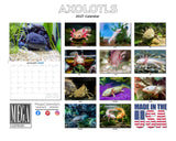 Axolotls Wall Calendar 2027 - 12" x 9" 14-Month Rare Aquatic Animal Calendar