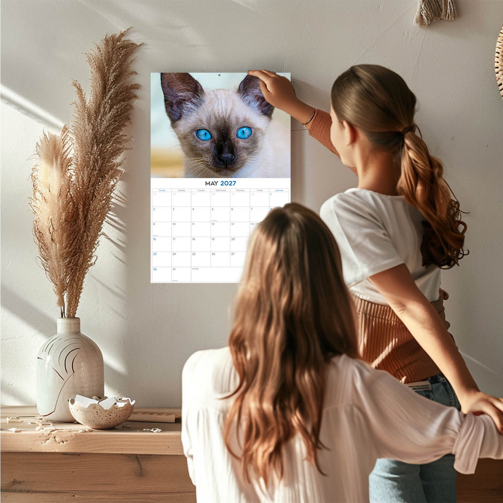 Cats Wall Calendar 2027 - 12" x 9" 14-Month Mixed Feline Breed Calendar