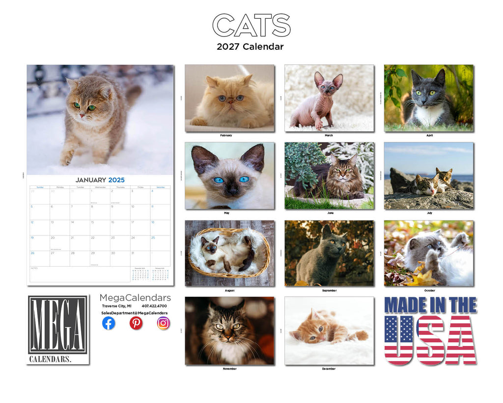 Cats Wall Calendar 2027 - 12" x 9" 14-Month Mixed Feline Breed Calendar