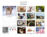 Cats Wall Calendar 2027 - 12" x 9" 14-Month Mixed Feline Breed Calendar