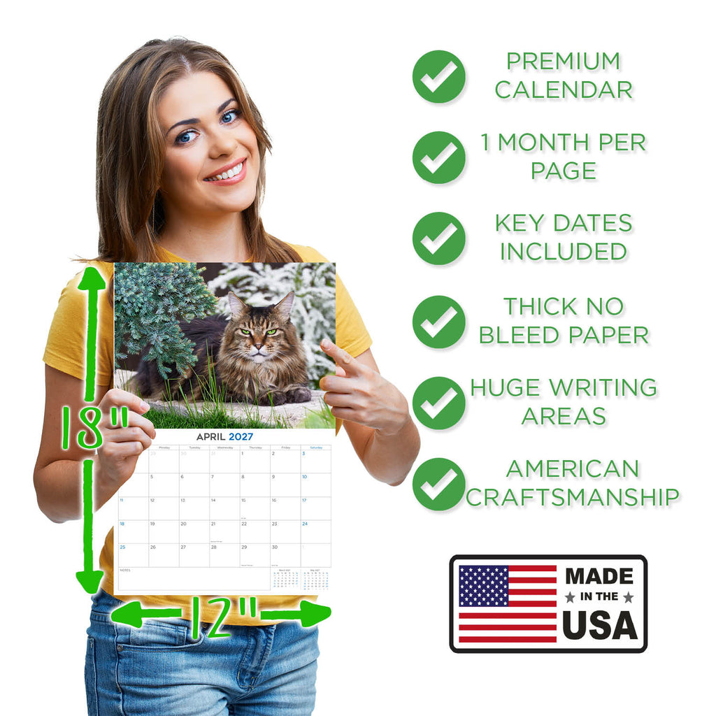 Cats Wall Calendar 2027 - 12" x 9" 14-Month Mixed Feline Breed Calendar