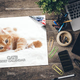 Cats Wall Calendar 2027 - 12" x 9" 14-Month Mixed Feline Breed Calendar