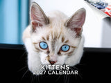 Kittens Wall Calendar 2027 - 12" x 9" 14-Month Cute Feline Calendar